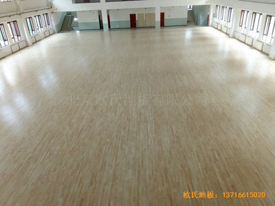 �����wȫ�I����С�W�w���^�w��ľ�ذ���b����