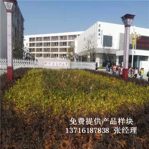 ���Ցь��ǹ�С���@����^�w����ľ�ذ尸����