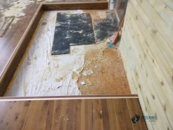 大學(xué)運動木地板保養(yǎng)知識