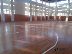 ��(sh��)ľ�\(y��n)��(d��ng)�@��ľ�ذ屣�B(y��ng)